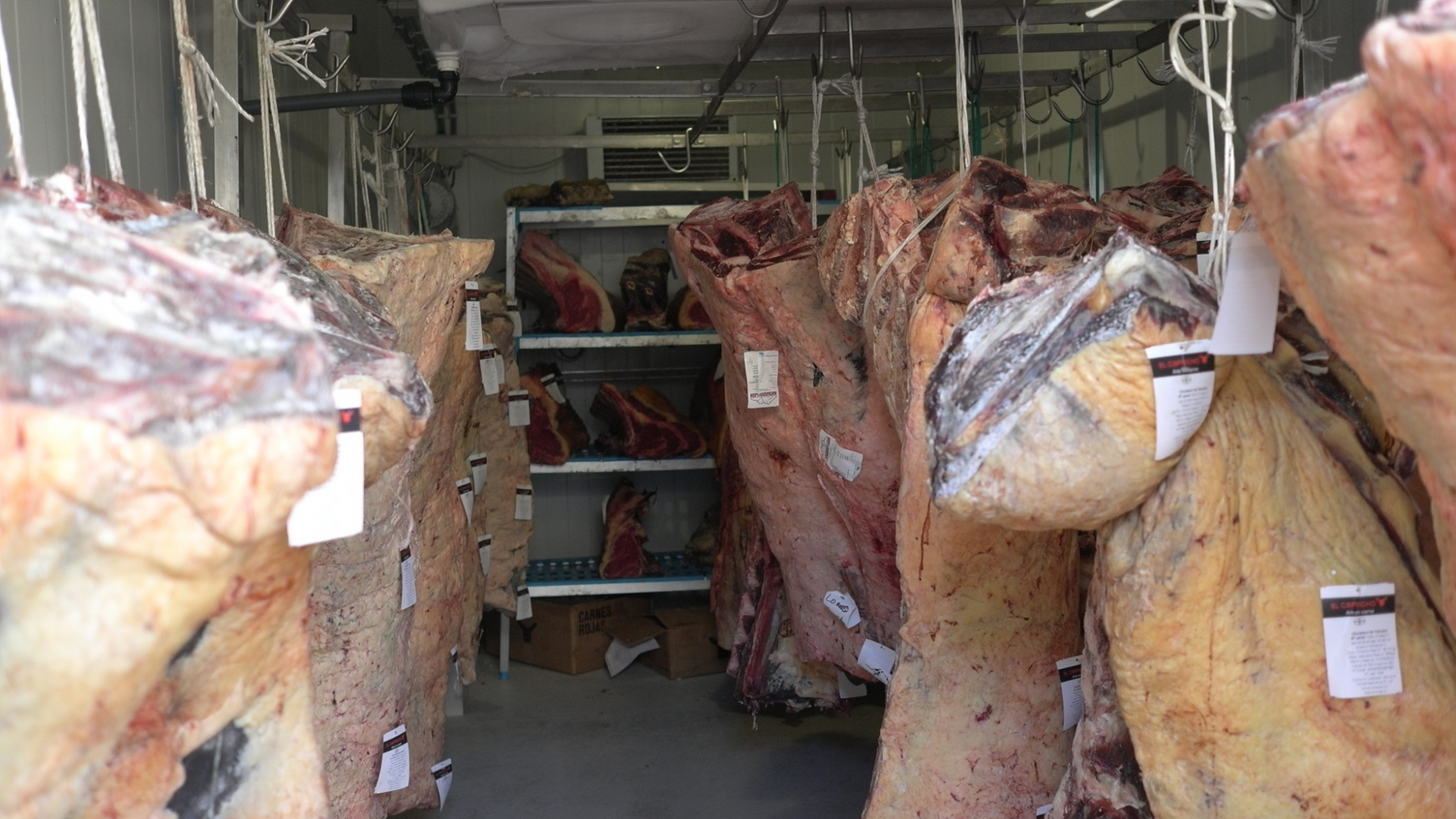 Mehrere Monate muss das Rindfleisch hängen - am Knochen, bei einer bestimmten Temperatur und Luftfeuchtigkeit.