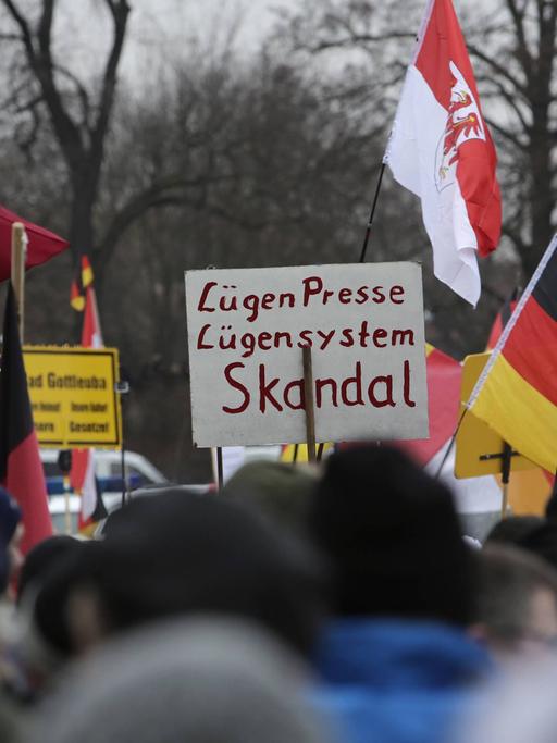 Pegida-Anhänger während einer Demonstration in Dresden am 25. Januar 2015.