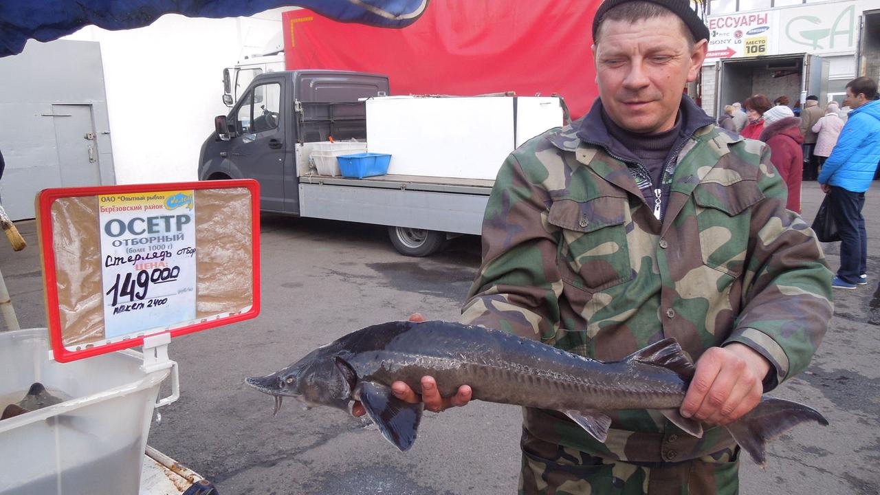 Weißrussland: Fisch ist auf dem Markt nur noch zu Fantasiepreisen zu haben