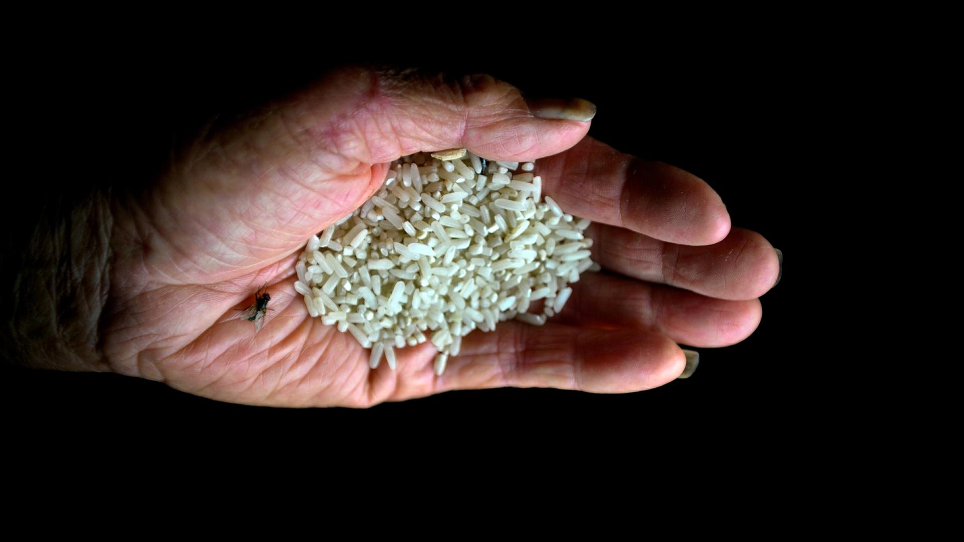 Ein chinesischer Dorfbewohner hält Reis aus verseuchtem Boden in seinen Händen.
