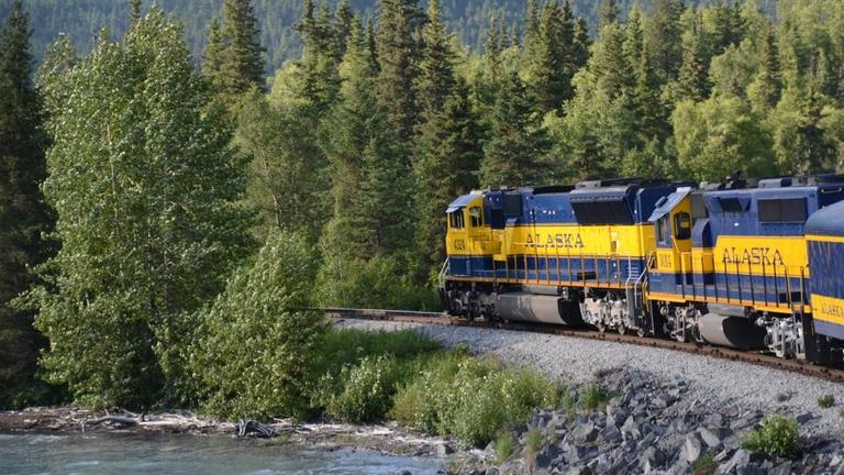 Ein Zug der Alaska Railroad Gesellschaft fährt zwischen Waldausläufern und Wasser durch die Landschaft.