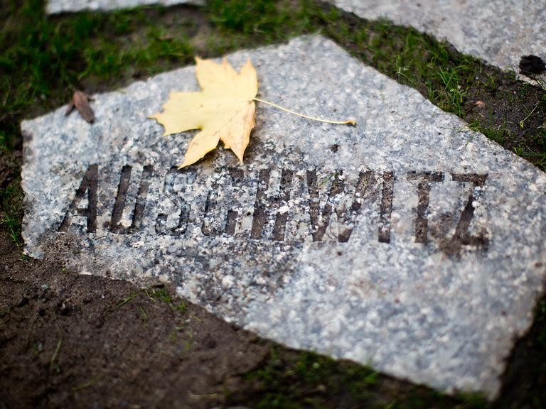 Gedenkstätte für die im Nationalsozialismus ermordeten Sinti und Roma in Berlin.