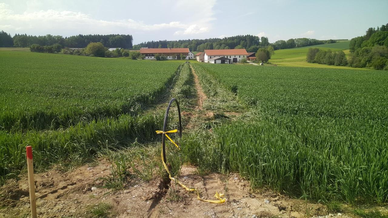 Der Anfang eine Kabel ist auf einem Acker zu sehen