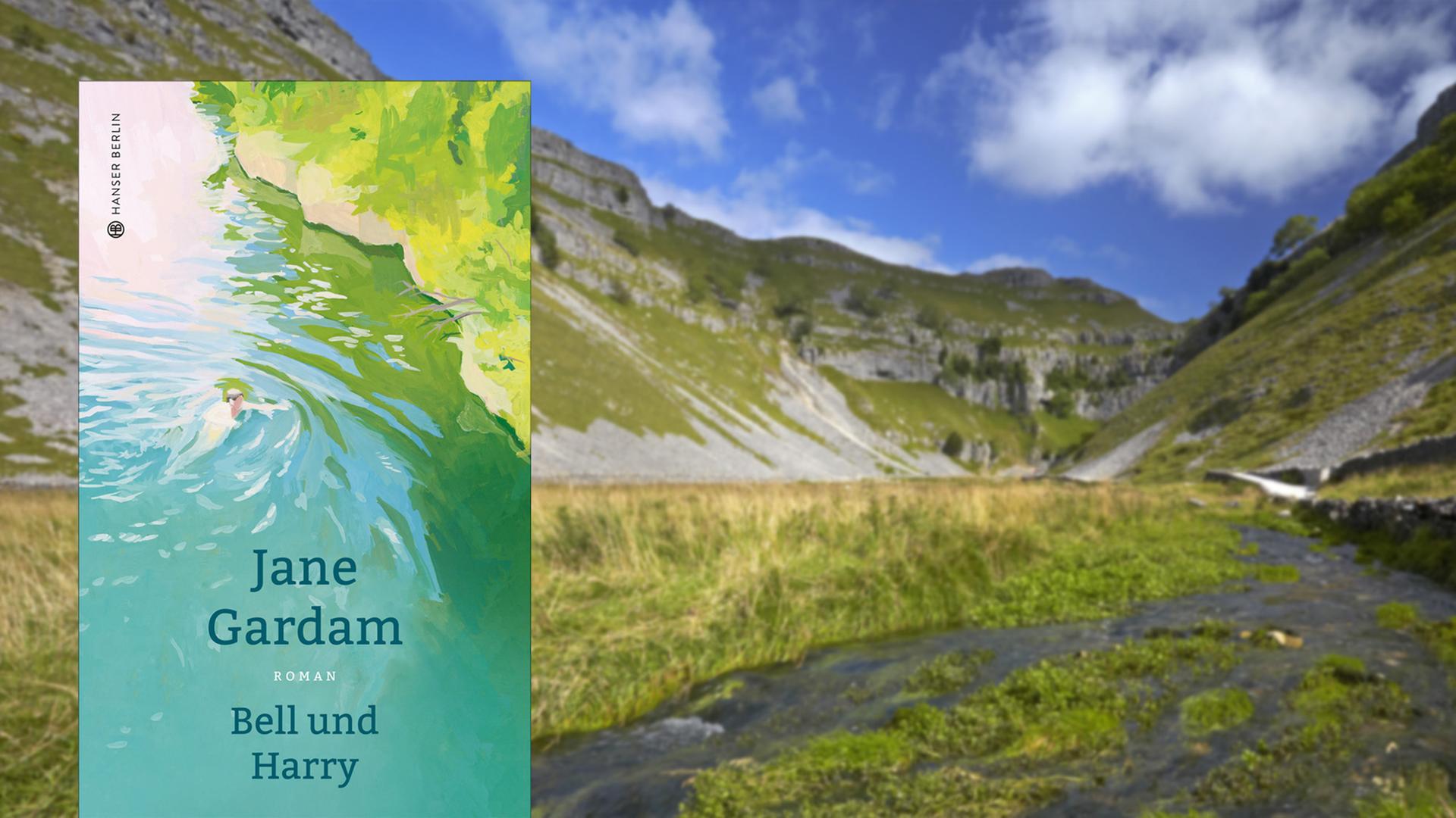 Cover von Jane Gardam "Bell und Harry", im Hintergrund ist der Yorkshire Dales National Park zu sehen