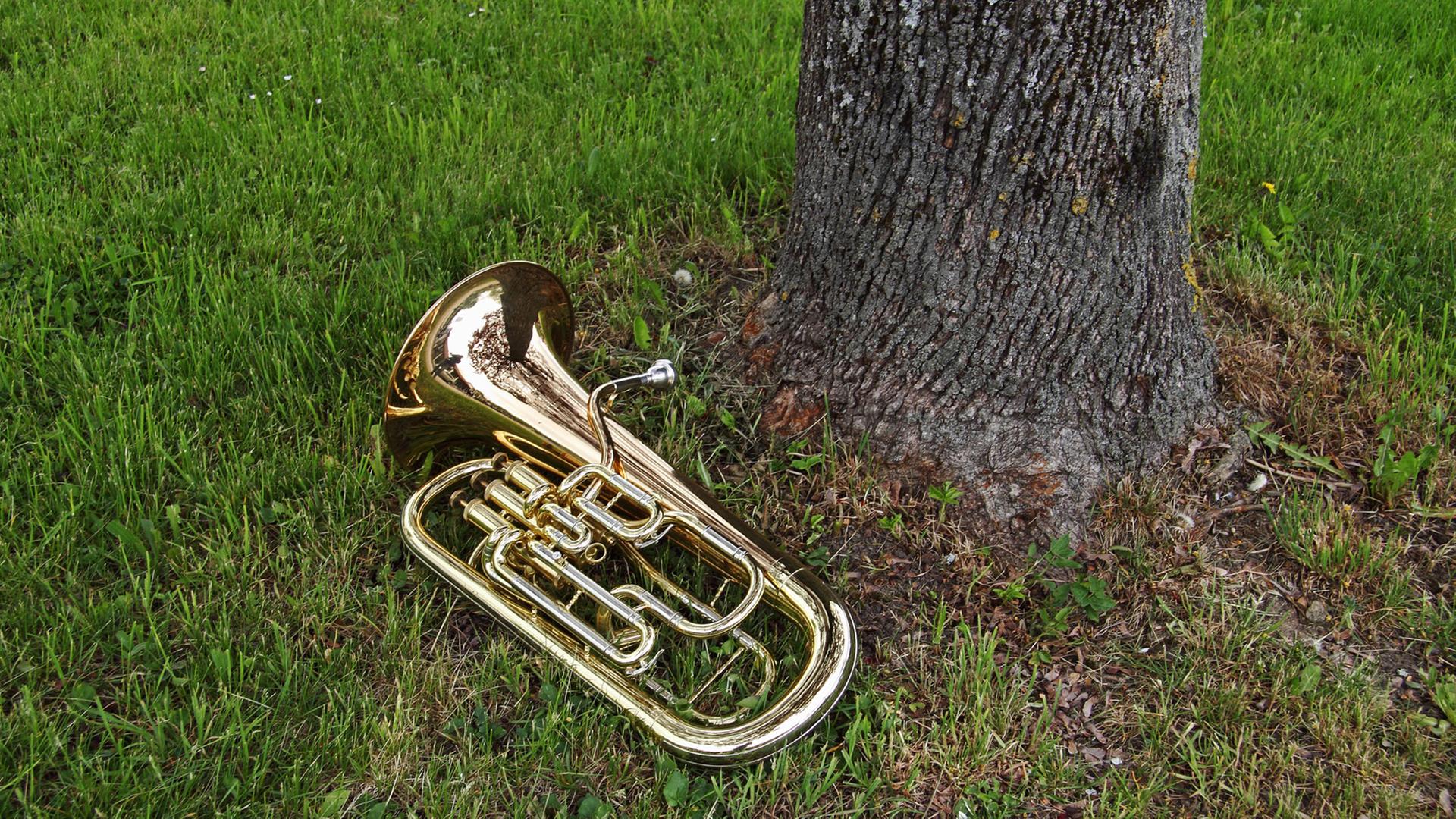 Die Tuba ist Musikinstrument des Jahres 2024