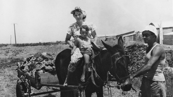 Mutter Thea Wolfssohn mit dem kleinen Michael auf einem Pferd in einem Kibbuz, daneben Willi/Zeew(Bild: Michael Wolfssohn)