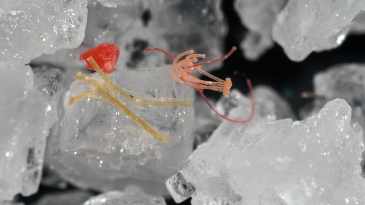 Mikroplastik zwischen Salzkristallen