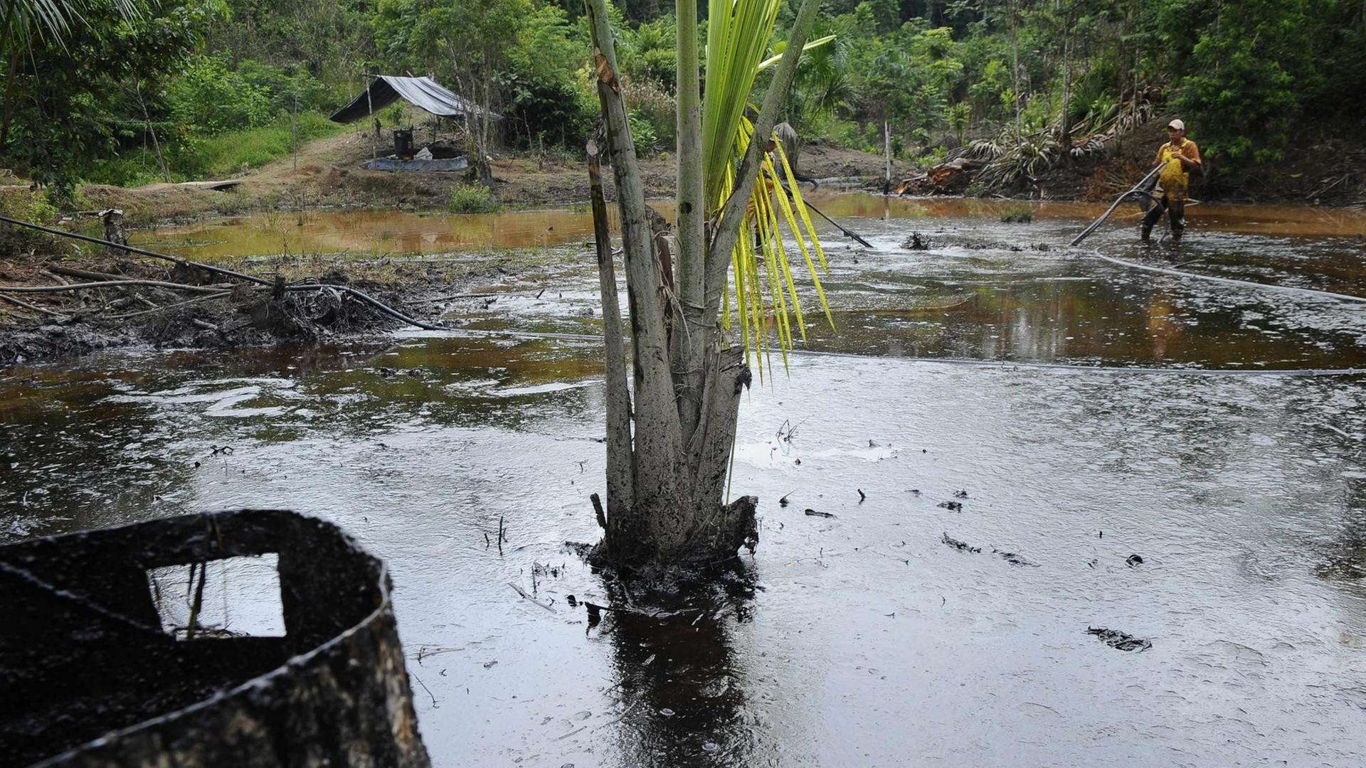 Angestellte der staatlichen Ölfirma Petroecuador versuchen ein ölverseuchtes Gebiet des Amazonas zu reinigen.