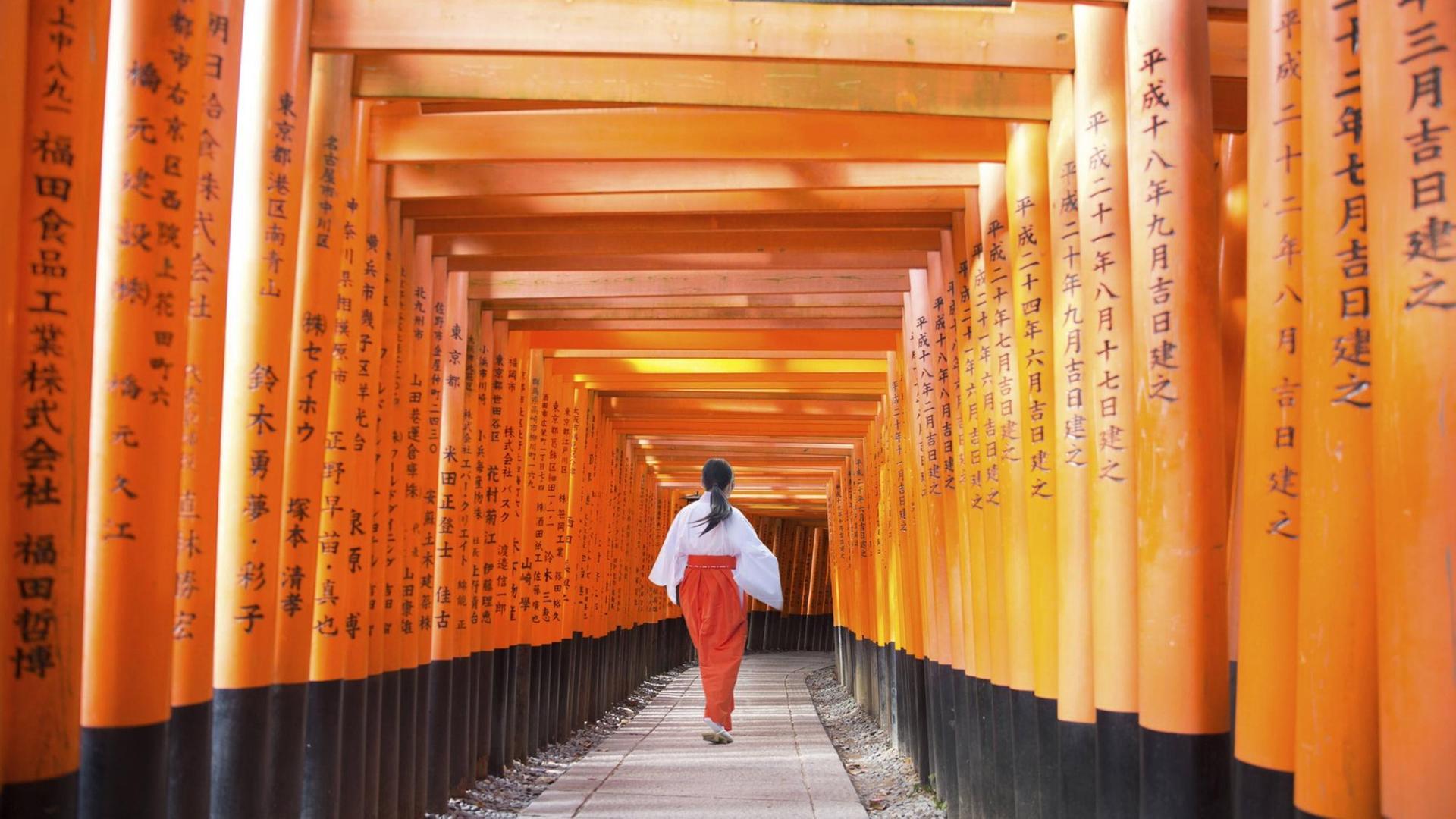 Eine Frau geht durch eine Reihe Torii, Eingangstore eines Shinto-Schreins