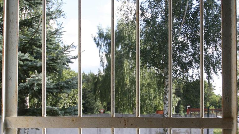 Blick durch ein Zellengitterfenster in den Garten