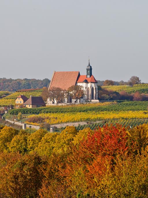 Blick auf die katholische Wallfahrtskirche Maria im Weingarten in herbstlich gefärbter Landschaft am 20.10.2012 in Volkach (Bayern).