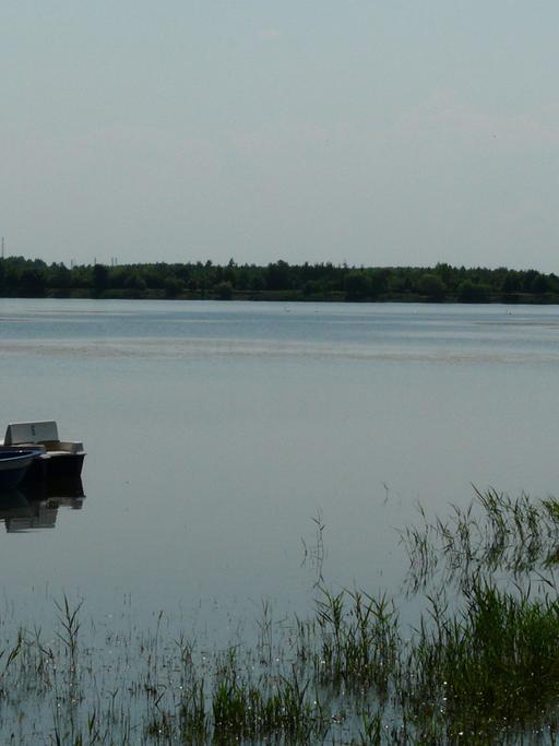 Elsterstausee 2007