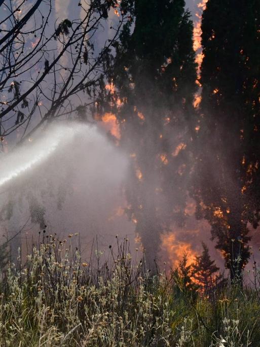 Ein Feuerwehrmann bekämpft mit einem Löschschlauch einen Waldbrand.