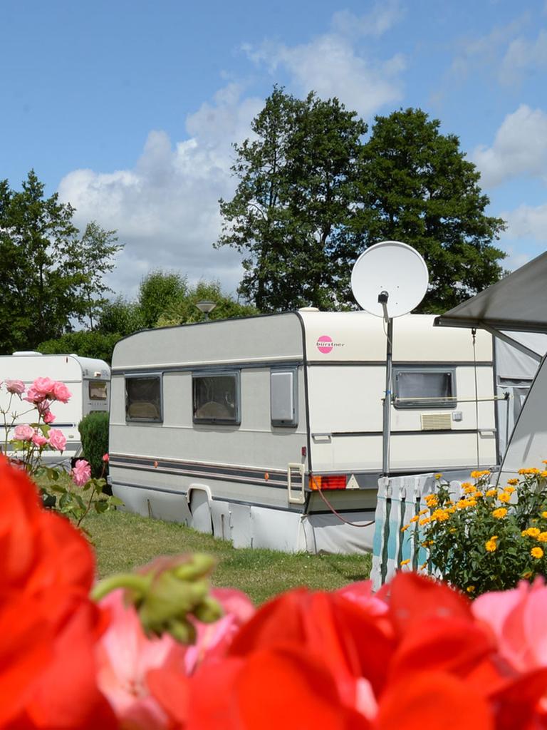 Ein Wohnwagen auf einem Campingplatz in idyllischer Lage. Im Vordergrund ein rotes Blumenmeer.