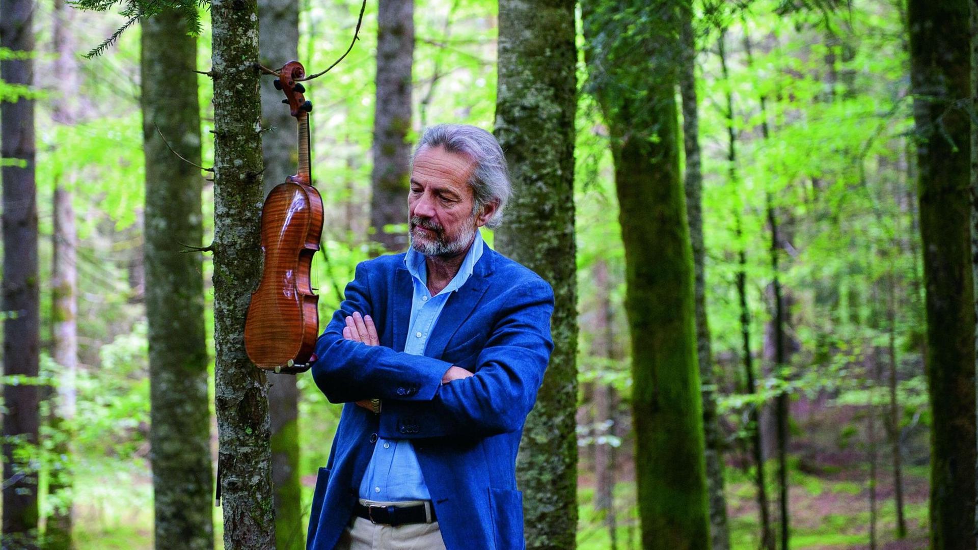 Der Geiger Giuliano Carmignola im Wald seine Geige betrachtend, die an einem Ast hängt
