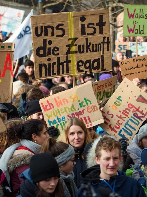 Schüler demonstrieren am 25. Januar 2019 in Berlin gegen politische Untätigkeit beim Klimawandel.