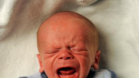 Ein zwei Wochen altes männliches Baby schreit
