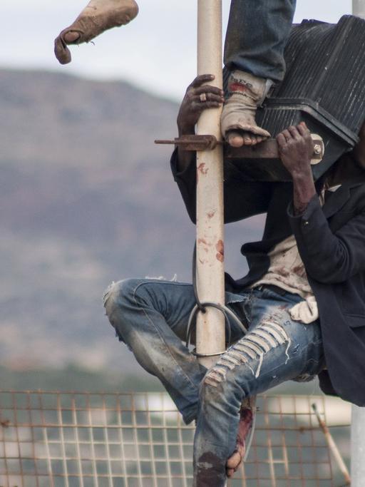 Afrikanische Flüchtlinge klettern über den Grenzzaun in Melilla.