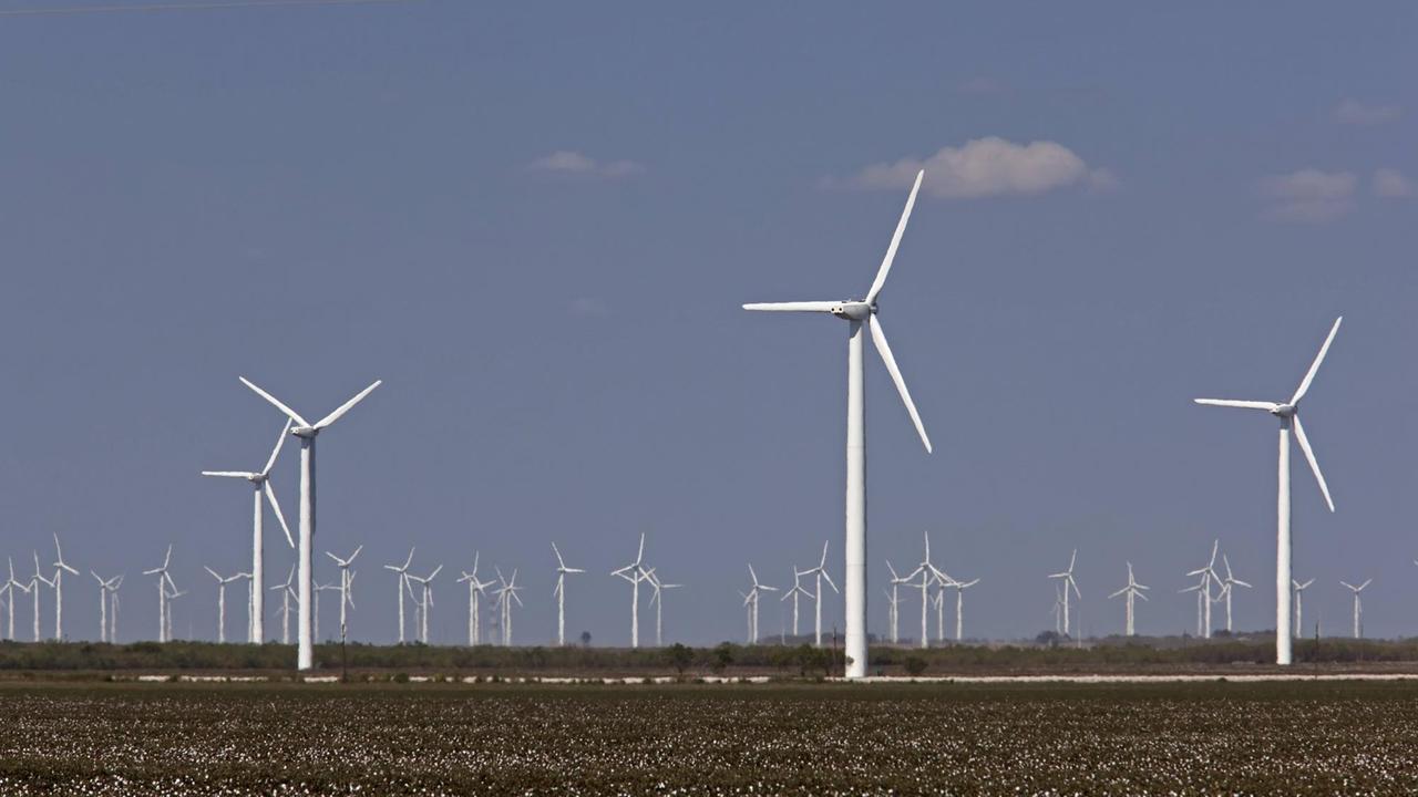 Zahlreiche Winderäder stehen auf einem Feld im US-Bundesstaat Texas.