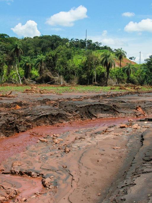 Schlammreste und Rückstände liegen im Stadtviertel Córrego do Feijão. Am 25. Januar 2019 brach der Damm der Eisenerzmine Córrego do Feijão, eine tödliche Schlammlawine setzte sich in Gang.