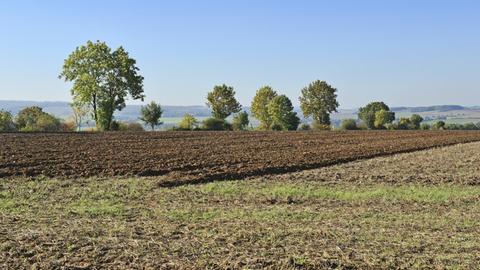 Frisch gepflügter brauner Ackerboden bei Lauenau mit Bäumen hinter dem Feld und einem Blick Richtung Süntel, 11.10.2015