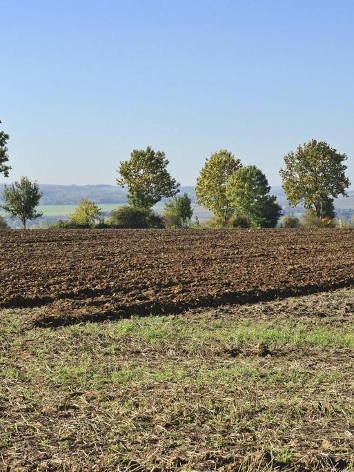 Frisch gepflügter brauner Ackerboden bei Lauenau mit Bäumen hinter dem Feld und einem Blick Richtung Süntel, 11.10.2015