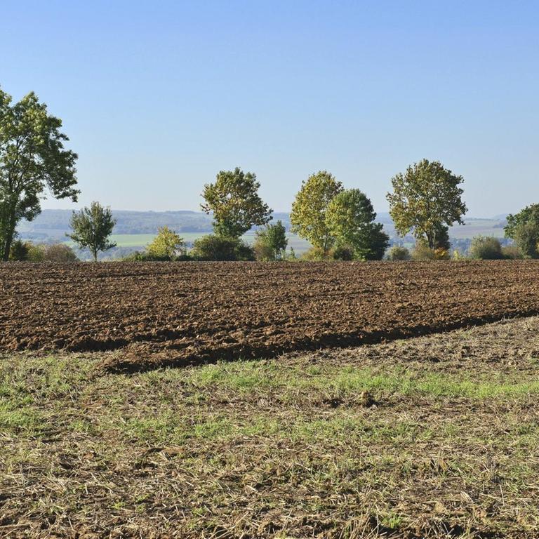 Frisch gepflügter brauner Ackerboden bei Lauenau mit Bäumen hinter dem Feld und einem Blick Richtung Süntel, 11.10.2015
