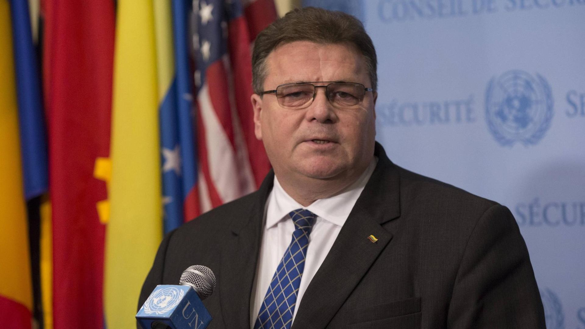 Der litauische Außenminister Linas Antanas Linkevicius.