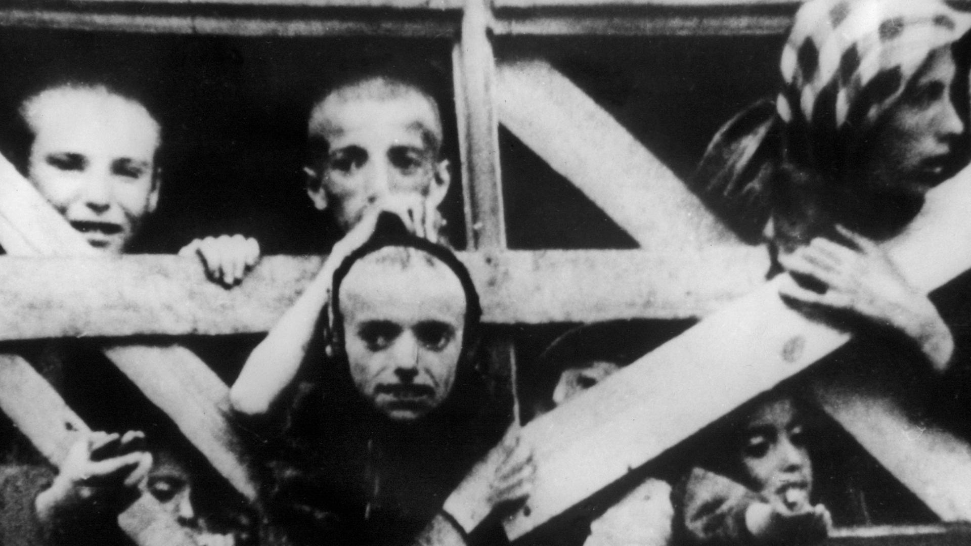 Abgemagerte jüdische Kinder schauen aus einem Viewagon, in dem sie in ein Konzentrationslager deportiert werden. 