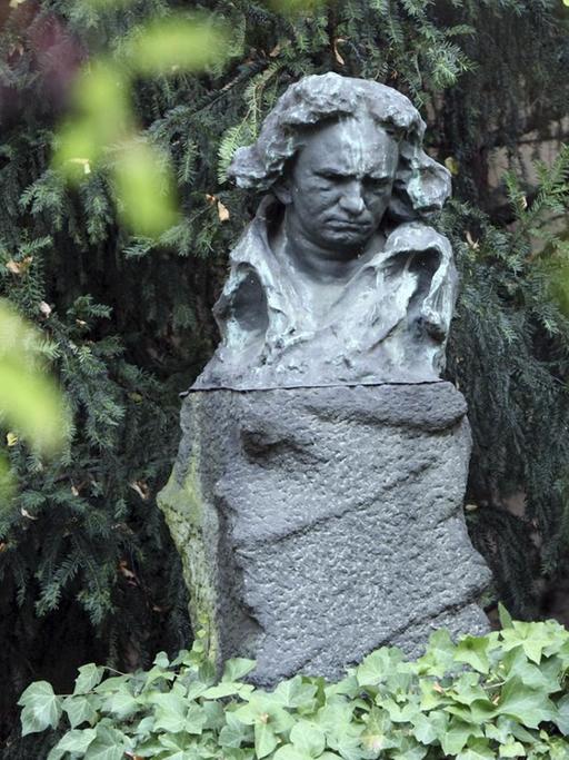 Bronzebüste des Komponisten umringt von Grün im Garten des Beethoven-Hauses in Bonn.