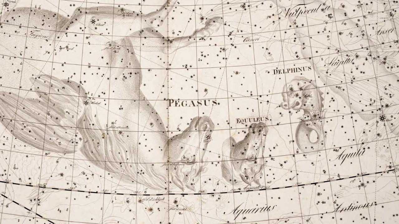 Das Sternbild Füllen in einer historischen Darstellung