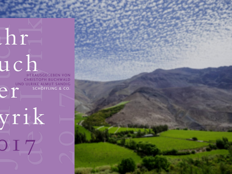 Cover: "Jahrbuch der Lyrik 2017", im Hintergrund: Ein Blick auf den Weinanbau im Elqui-Tal in Chile