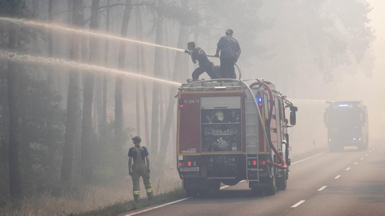 Mehrere Feuerwehrleute bei der Bekämpfung des Wald- und Waldbodenbrandes nahe Treuenbrietzen 2018 - von der Straße aus.