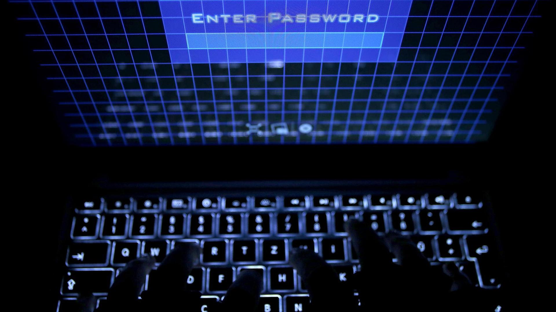 Ein Passwort wird auf einem Laptop über die Tastatur eingegeben. Auf dem Schirm sind die Worte "Enter Password" zu lesen.