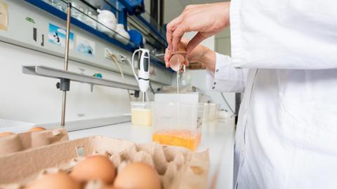 Veterinäramt untersucht Eier auf Rückstände