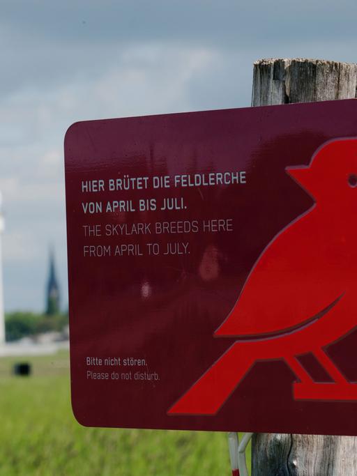 Das Schild "Hier brütet die Feldlerche von April bis Juli." steht am 13.05.2014 in Berlin auf dem Tempelhofer Feld.