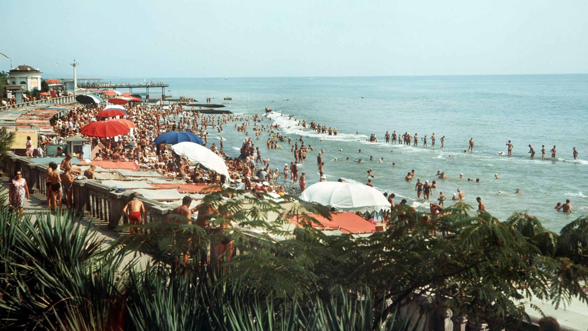 Blick auf die Schwarzmeerküste in Sotschi, Sonnenschirme und viele Menschen an einem Strand und im Wasser, Palmenwedel im Vordergrund