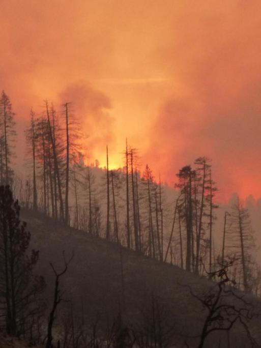 Die Waldbrände in Kalifornien breiten sich weiter aus.