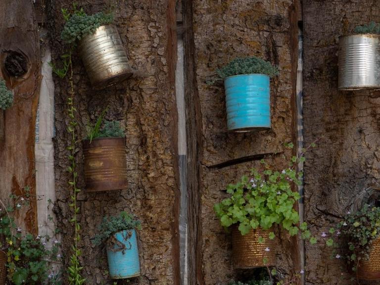 Alte Dosen mit Pflanzen hängen an einer Bretterwand.