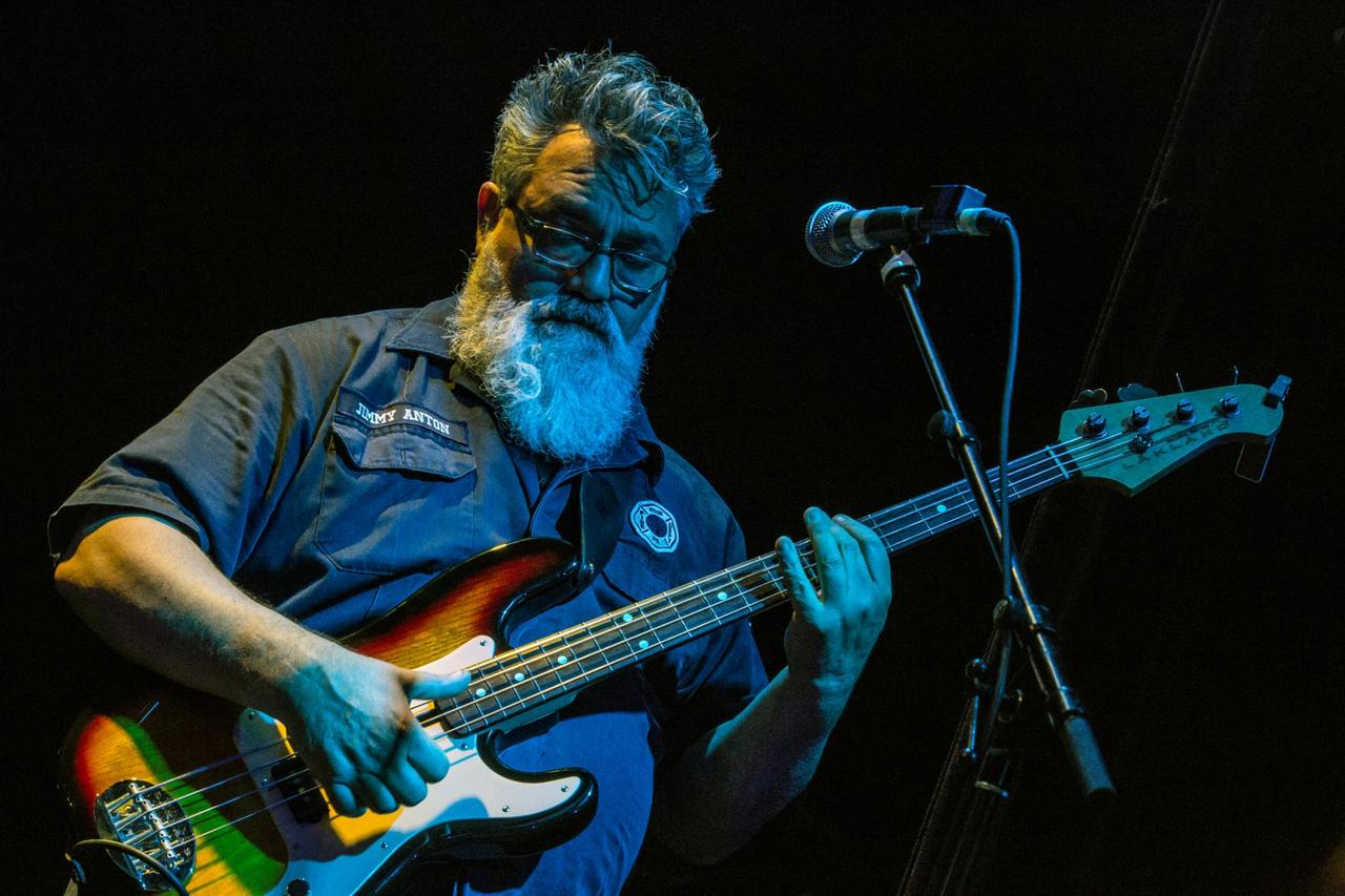 Ein Mann mit langem grauem Bart blickt beim Spielen auf seine Bassgitarre.