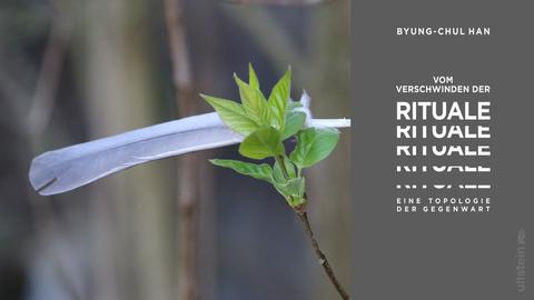 Buchcover: Byung-Chul Han: „Vom Verschwinden der Rituale. Eine Topologie der Gegenwart“