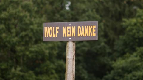 Ein Protestschild "Wolf Nein Danke" steht am 28.09.2016 auf einer Wiese an der Autobahn A27 bei Verden (Niedersachsen). Wölfe sind seit einigen Jahren wieder in Deutschland heimisch und stehen unter Artenschutz.