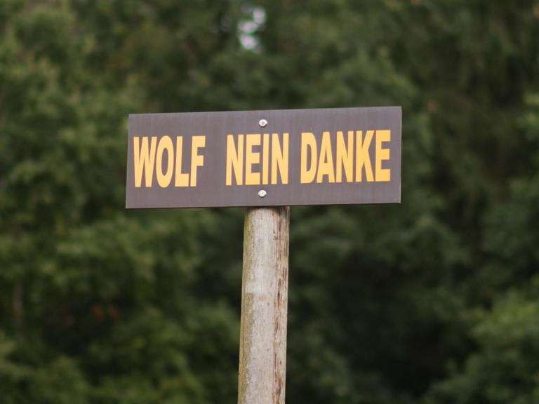 Ein Protestschild "Wolf Nein Danke" steht am 28.09.2016 auf einer Wiese an der Autobahn A27 bei Verden (Niedersachsen). Wölfe sind seit einigen Jahren wieder in Deutschland heimisch und stehen unter Artenschutz.
