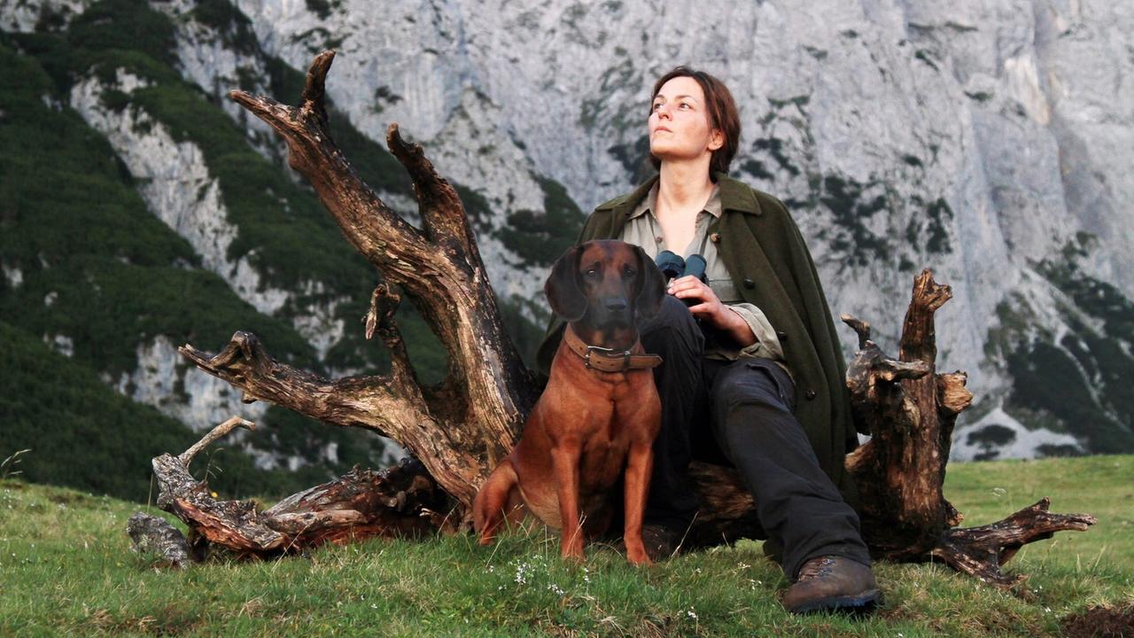 Im Still aus "Die Wand" sitzt Martina Gedeck mit einem Hund auf einem Baumstumpf und schaut in die Gebirgslandschaft.