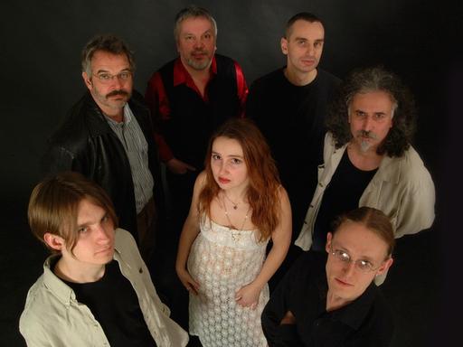 Die sieben Mitglieder der Gruppe Bierfiedler/Folkländer von oben aufgenommen.