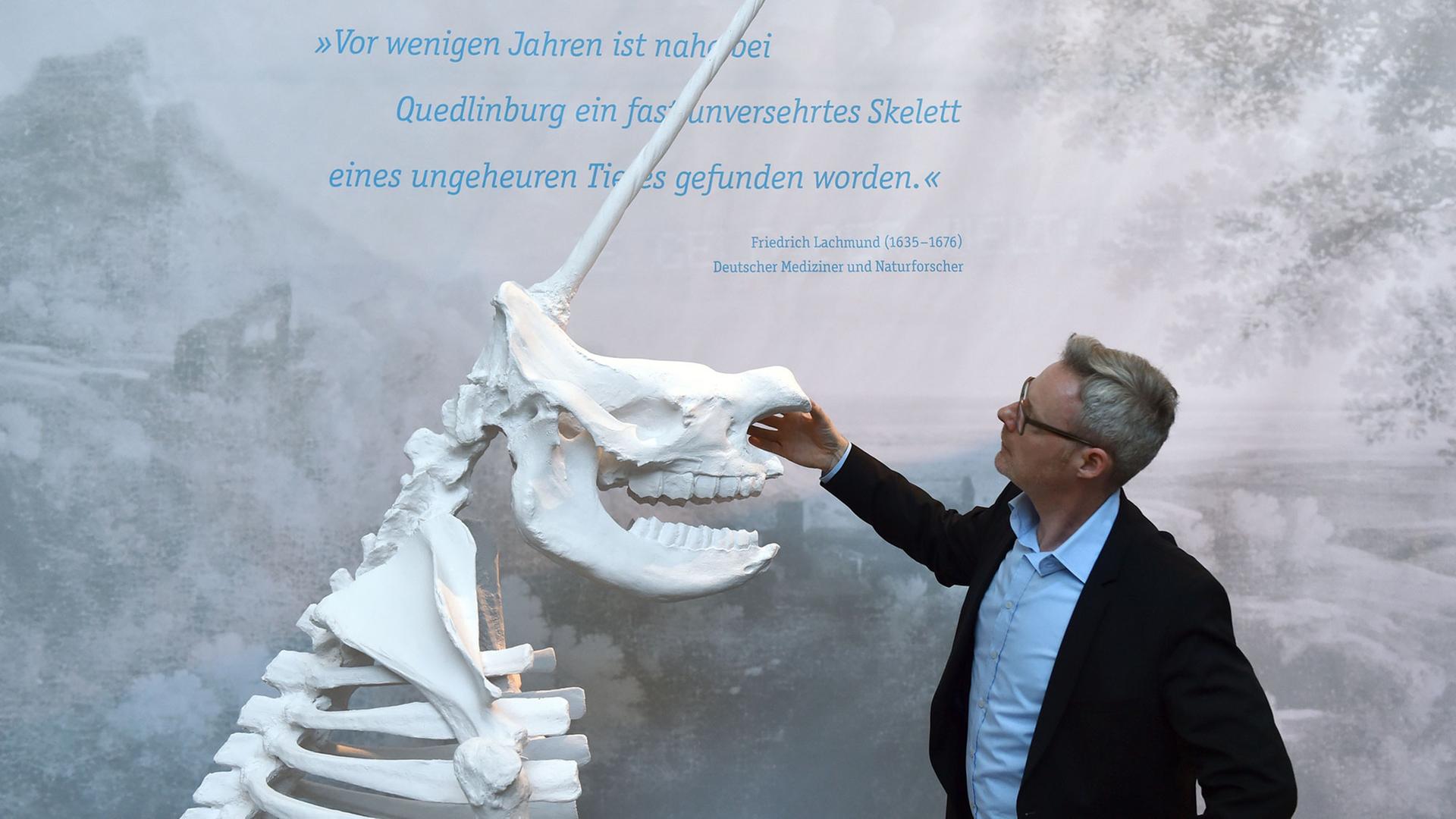 Josef Mühlenbrock, Direktor des LWL Museums, steht in der Ausstellung «Irrtümer & Fälschungen der Archäologie» neben einer dreidimensionalen Rekonstruktion des Quedlinburger Einhorns.