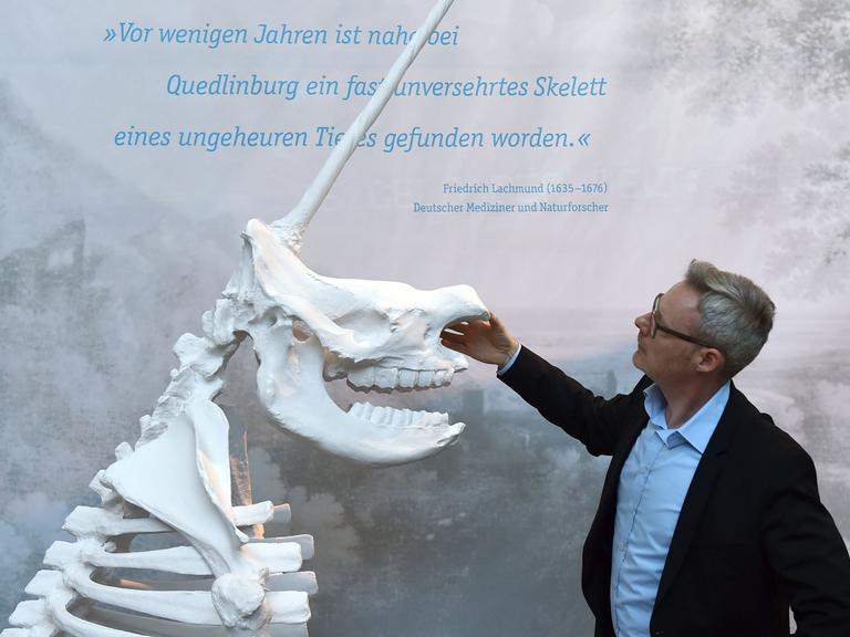 Josef Mühlenbrock, Direktor des LWL Museums, steht in der Ausstellung «Irrtümer & Fälschungen der Archäologie» neben einer dreidimensionalen Rekonstruktion des Quedlinburger Einhorns.