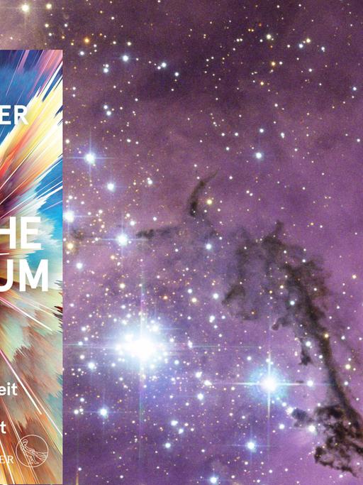 Das Cover des Buchs "Das hässliche Universum" und dahinter eine Aufnahme des Gas- und Staubnebels LHA 120-N 11