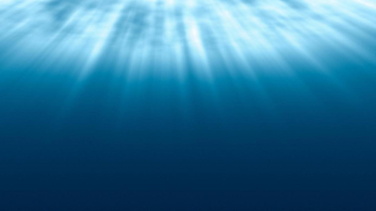 Ein Blick zur Wasseroberfläche zeigt, wie sich das Licht strahlenförmig im blauen Wasser ausbreitet.