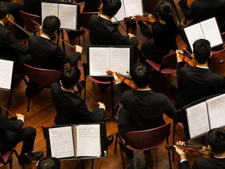 Hinteransicht von Geigenspielerinnen und -spielern in dunkler Kleidung vor aufgeklappten Noten